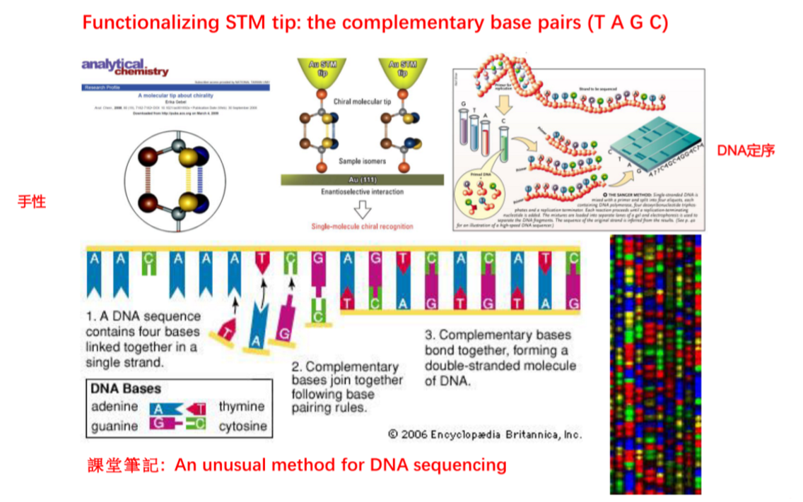STM在DNA sequencing的应用