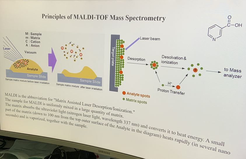 MALDI-TOF原理